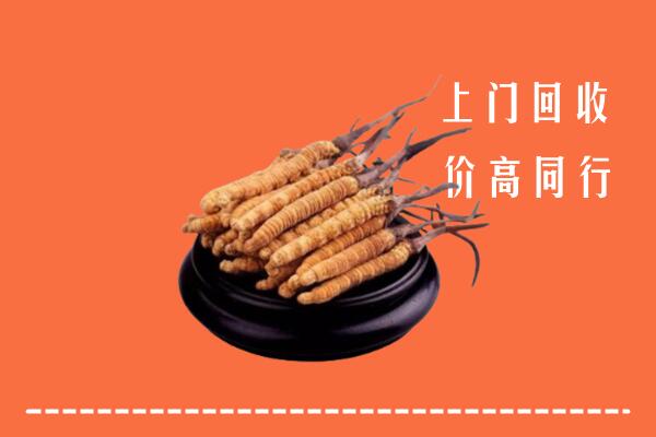 高价求购：果洛回收散虫草