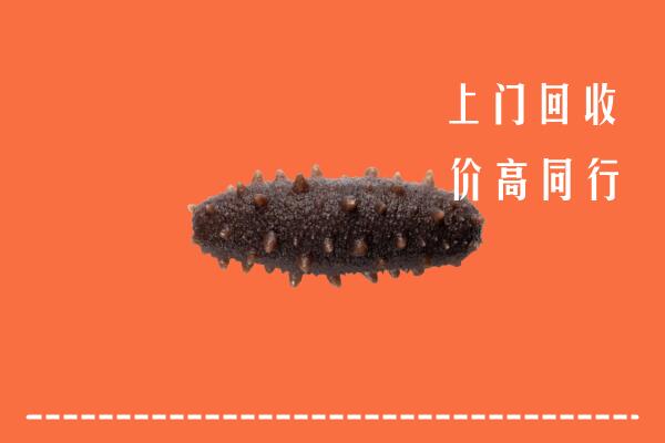 高价求购：果洛回收海参