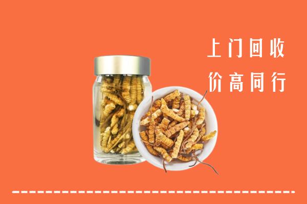 果洛回收冬虫夏草
